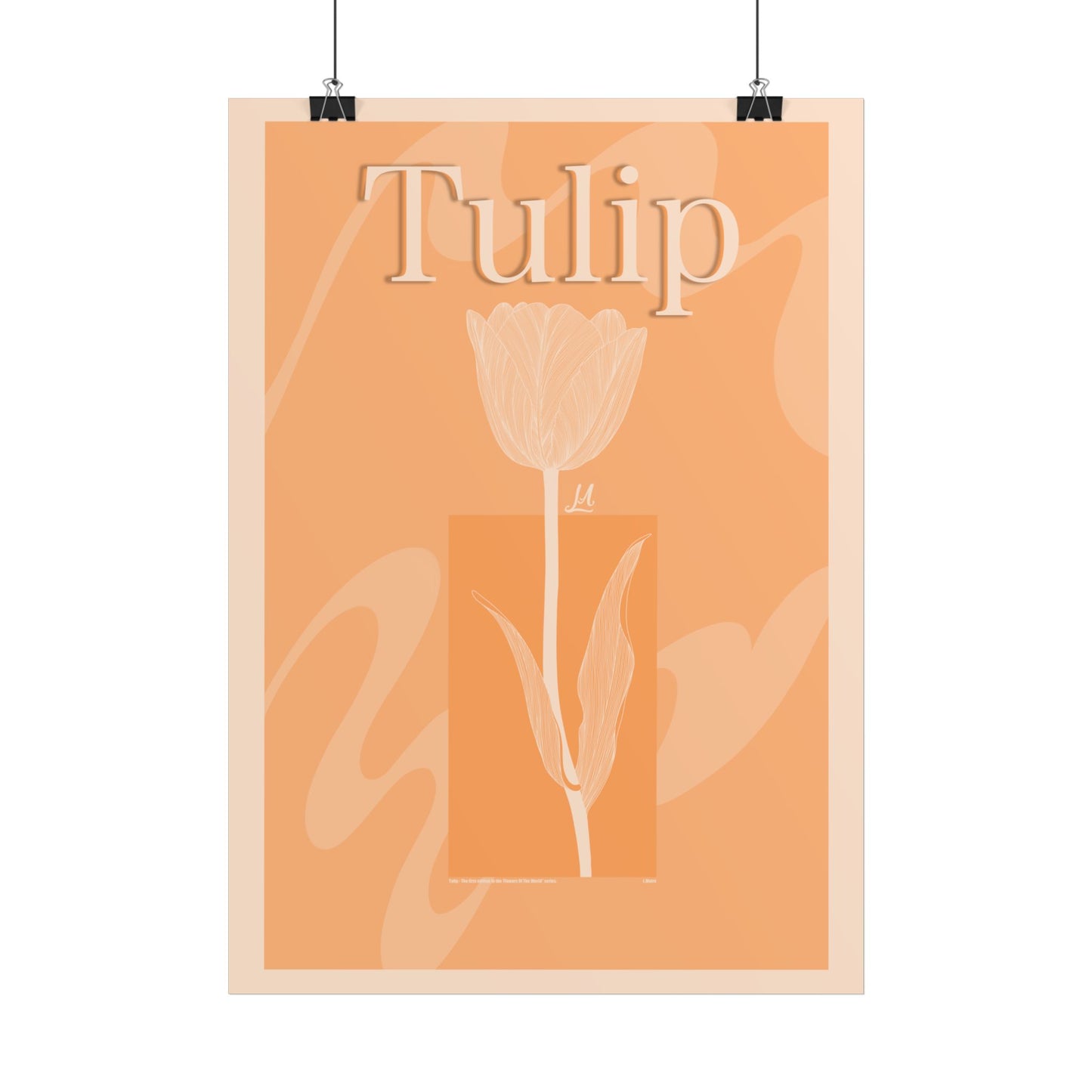 Tulip - The first edition to the - Flowers Of The World - series.