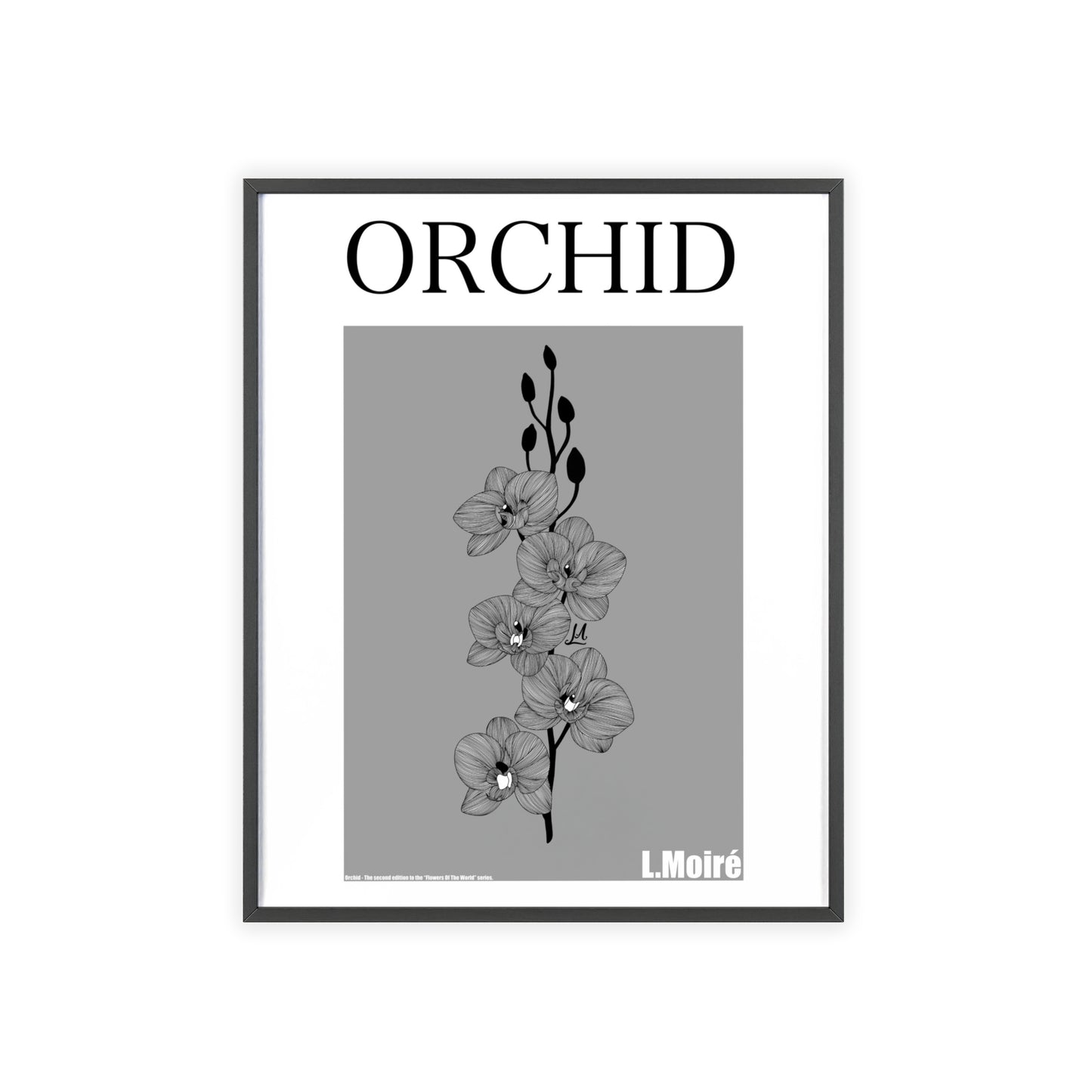 Orchid - The second edition to the - Flowers Of The World - series. - Framed.