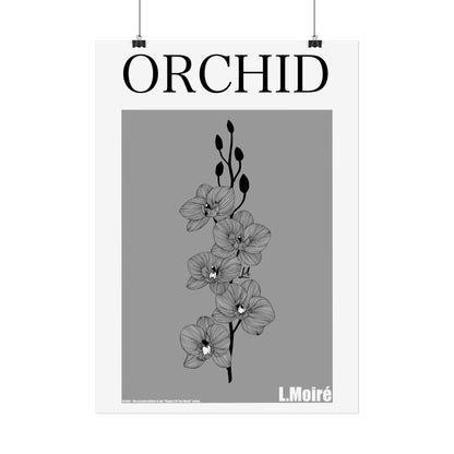 Orchid - the second edition to the - Flowers Of The World - series.