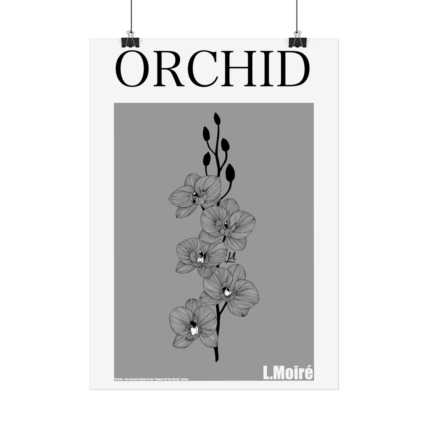 Orchid - the second edition to the - Flowers Of The World - series.