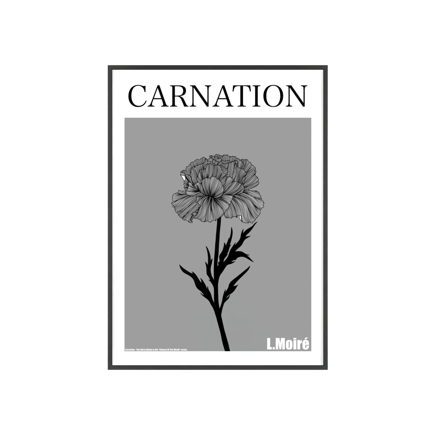 Carnation - The third edition to the - Flower Of The World - series.