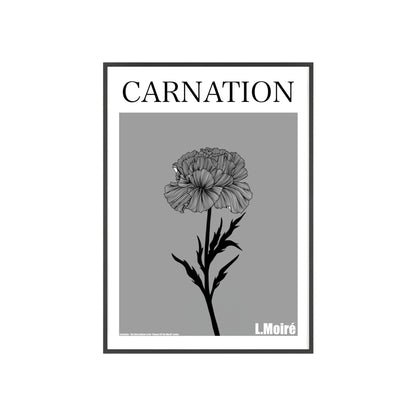 Carnation - The third edition to the - Flower Of The World - series.