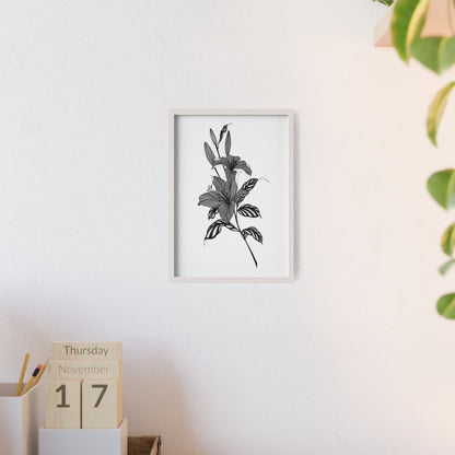 Elegant Floral Wall Art, Black and White Lily artwork - Framed.