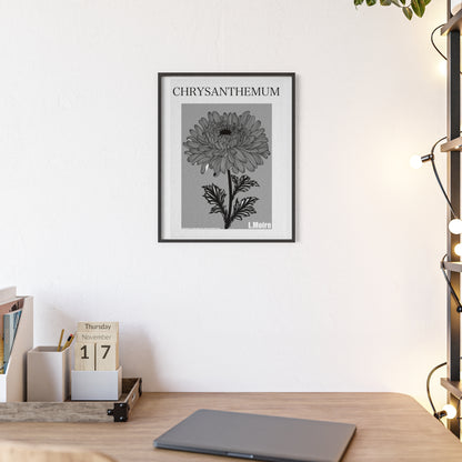 Chrysanthemum - The fifth edition - Flowers Of The World.