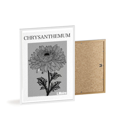 Chrysanthemum - The fifth edition - Flowers Of The World.
