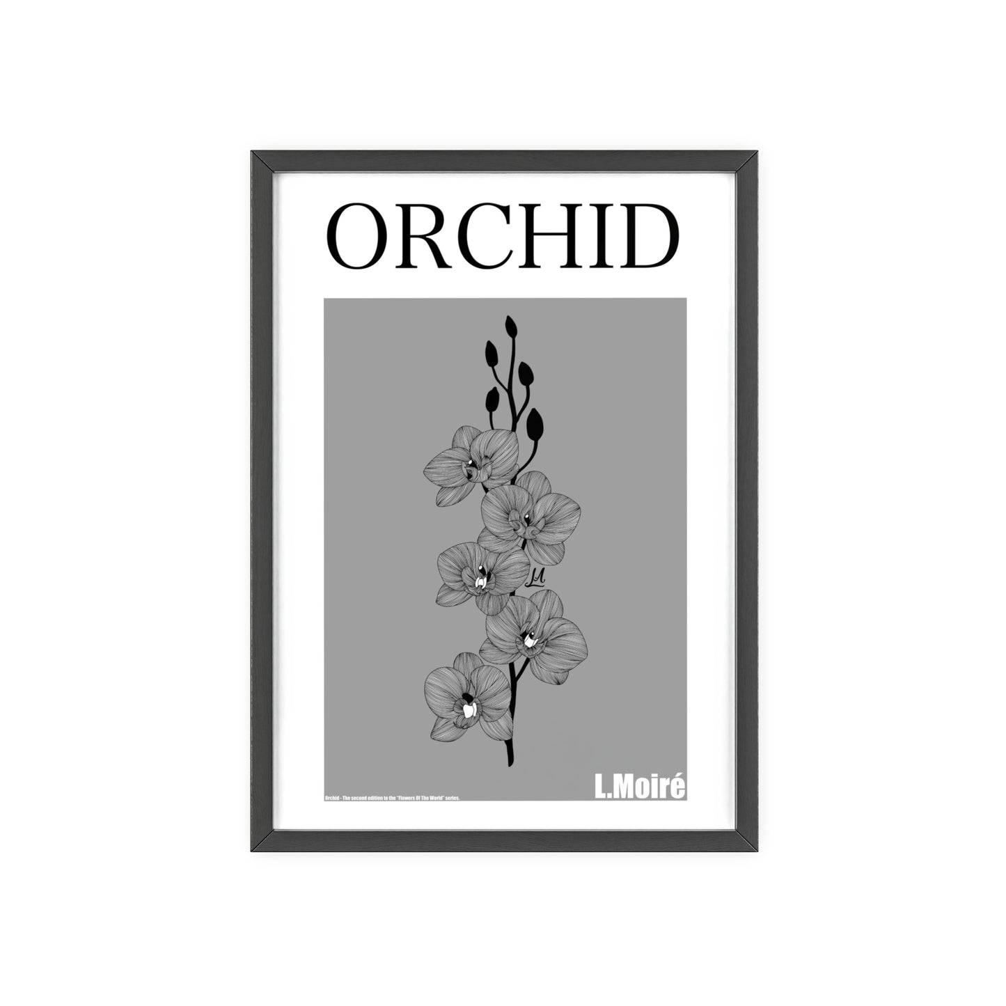 Orchid - The second edition to the - Flowers Of The World - series. - Framed.