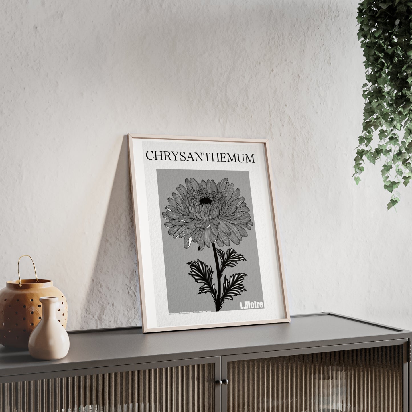 Chrysanthemum - The fifth edition - Flowers Of The World.