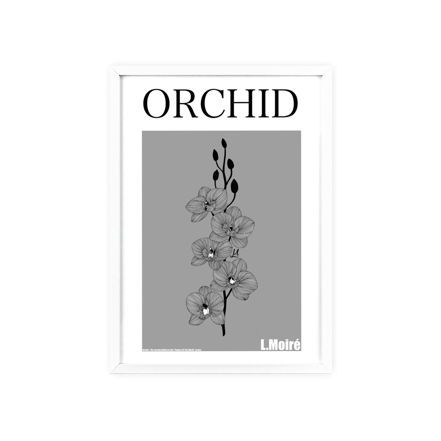 Orchid - The second edition to the - Flowers Of The World - series. - Framed.