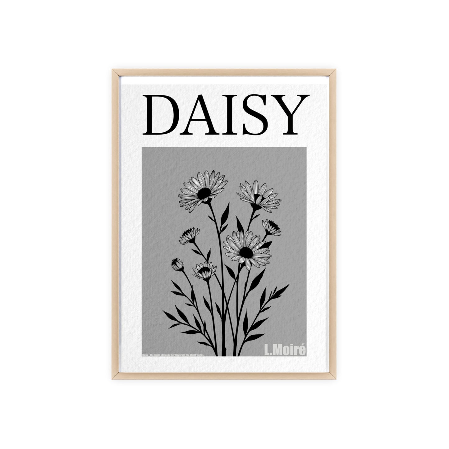 Daisy - The fourth edition - Flowers Of The World.
