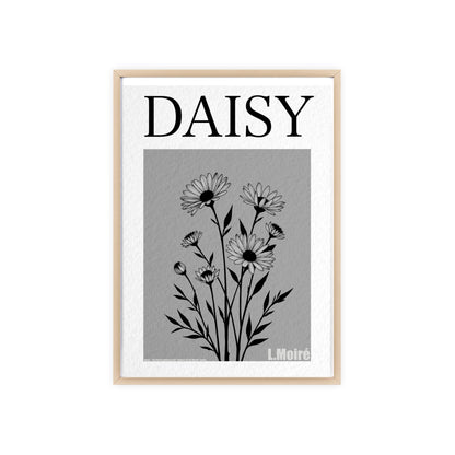 Daisy - The fourth edition - Flowers Of The World.