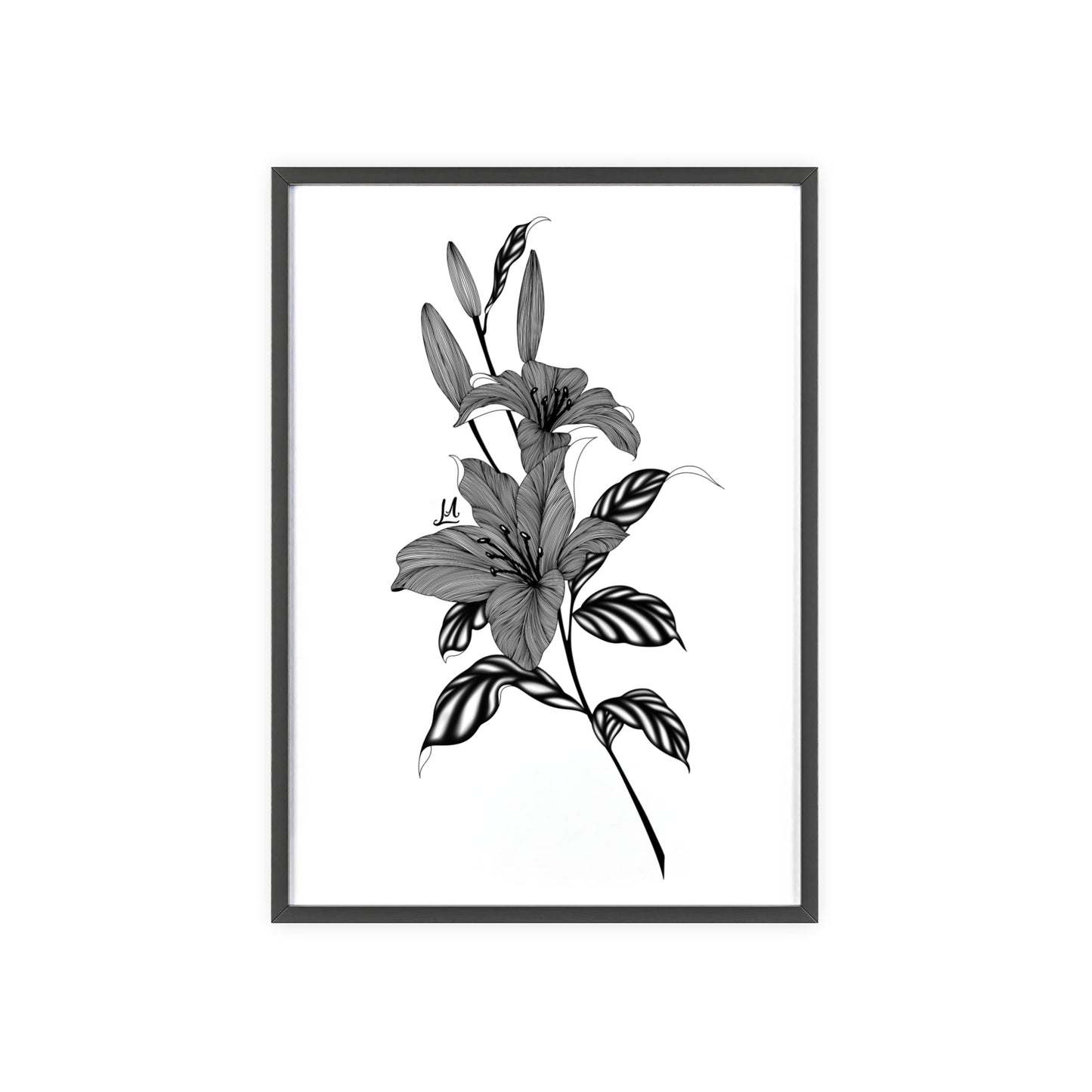 Elegant Floral Wall Art, Black and White Lily artwork - Framed.
