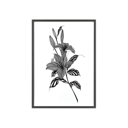 Elegant Floral Wall Art, Black and White Lily artwork - Framed.