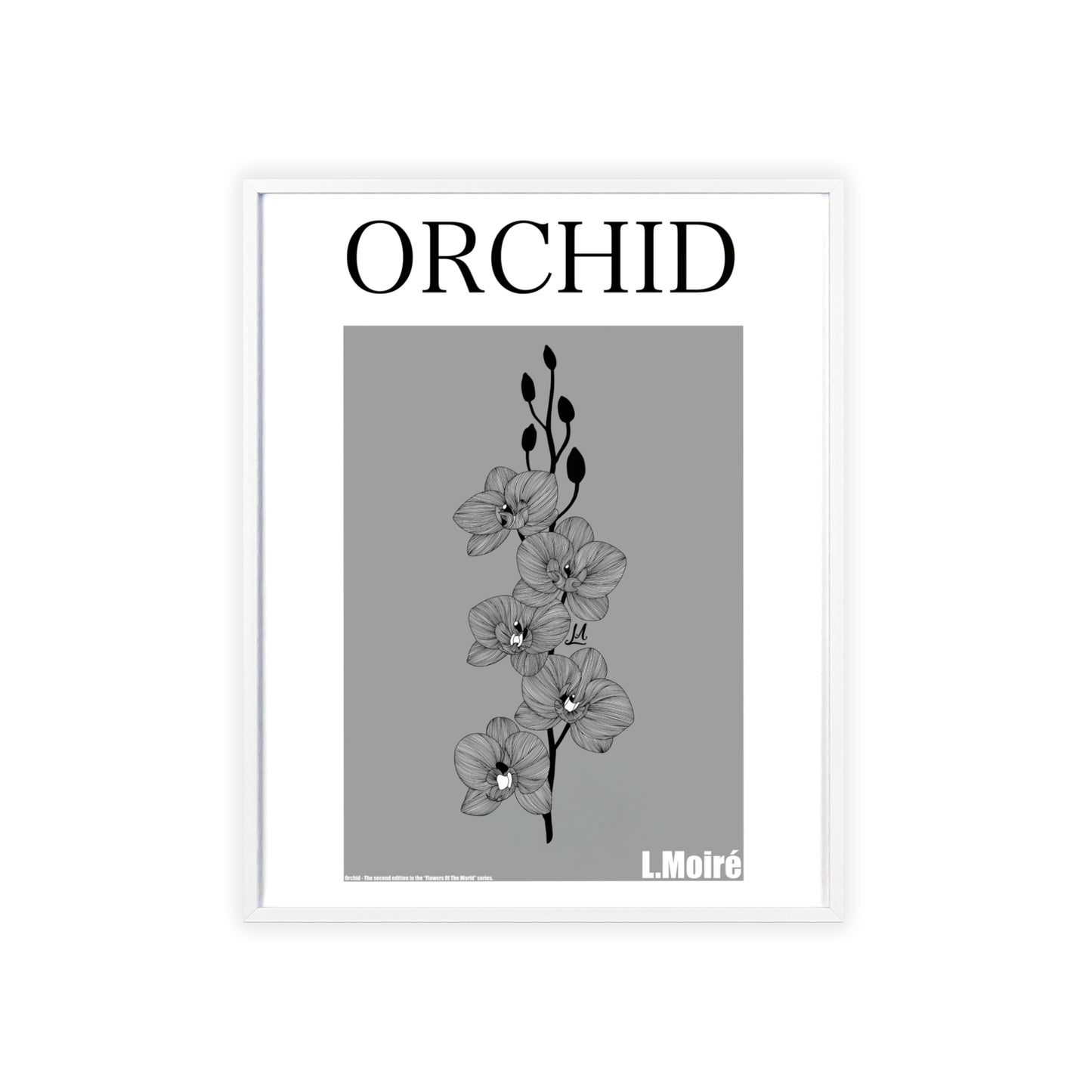 Orchid - The second edition to the - Flowers Of The World - series. - Framed.
