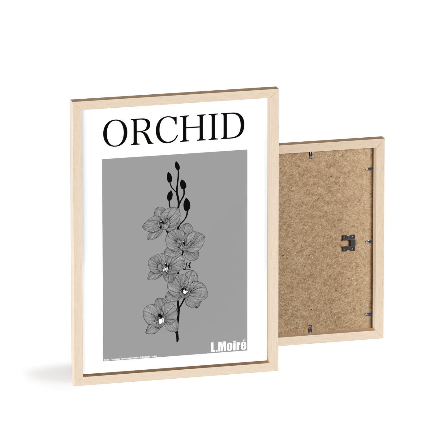 Orchid - The second edition to the - Flowers Of The World - series. - Framed.
