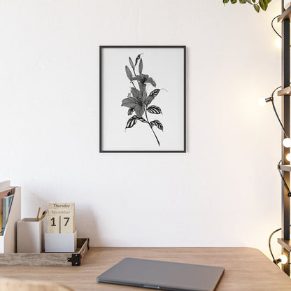 Elegant Floral Wall Art, Black and White Lily artwork - Framed.