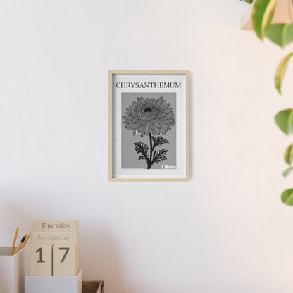 Chrysanthemum - The fifth edition - Flowers Of The World.