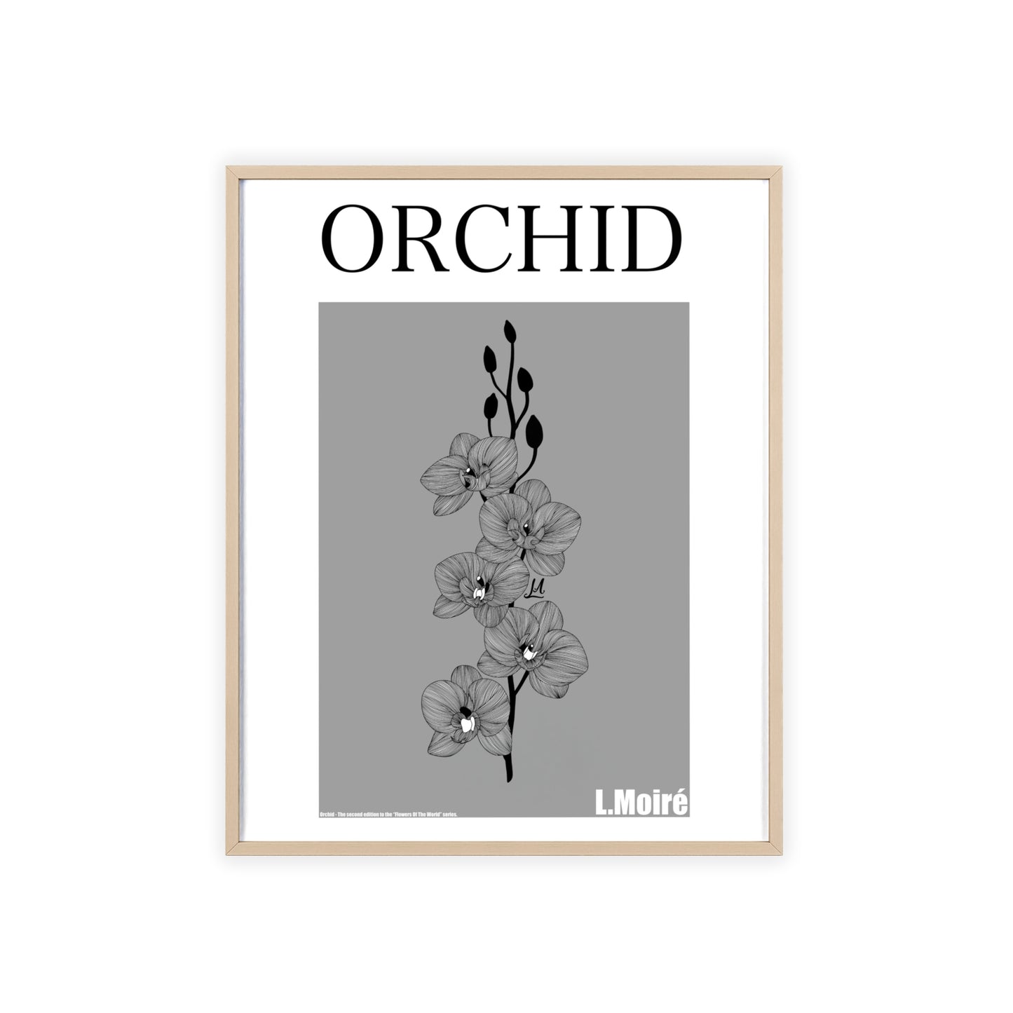 Orchid - The second edition to the - Flowers Of The World - series. - Framed.