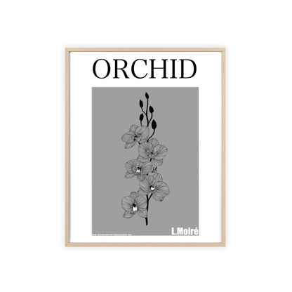 Orchid - The second edition to the - Flowers Of The World - series. - Framed.