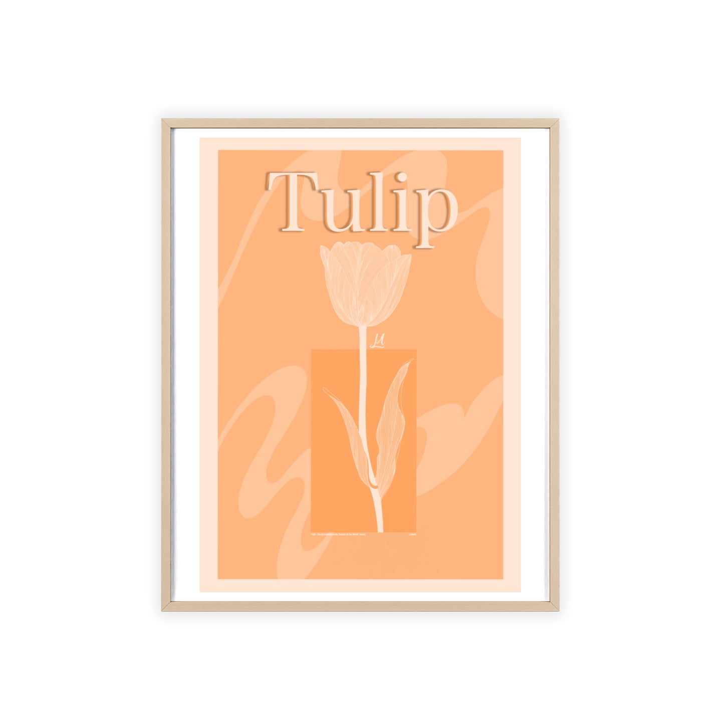 Tulip - The first edition to the - Flowers Of The World - serie. - Framed.
