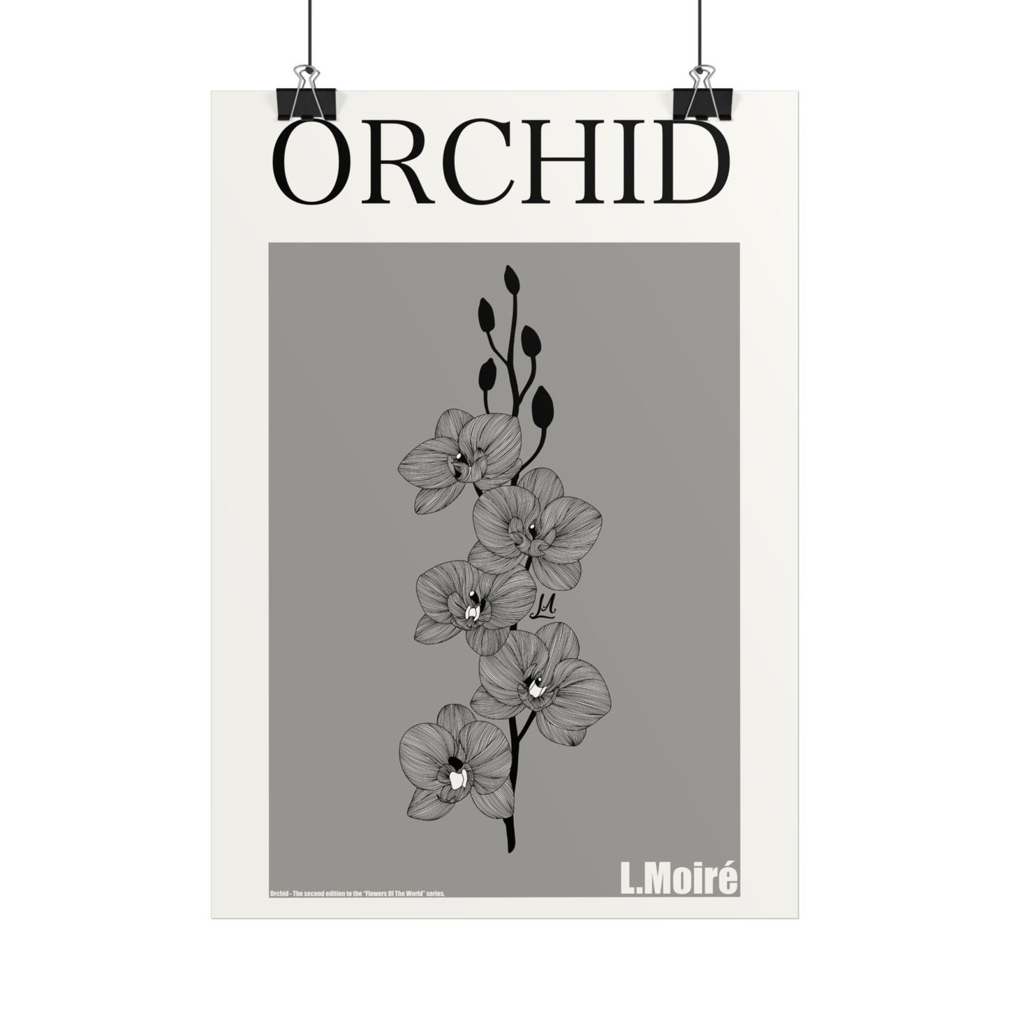 Orchid - the second edition to the - Flowers Of The World - series.