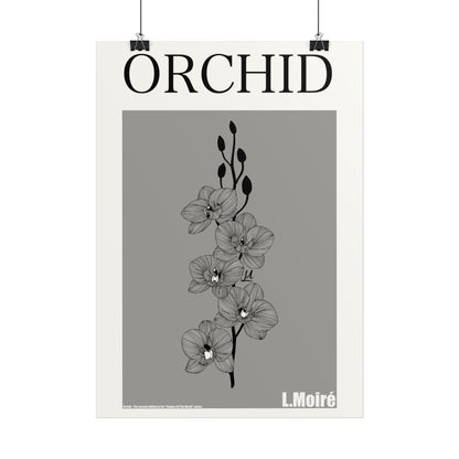 Orchid - the second edition to the - Flowers Of The World - series.