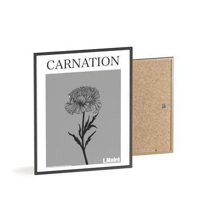 Carnation - The third edition to the - Flower Of The World - series.