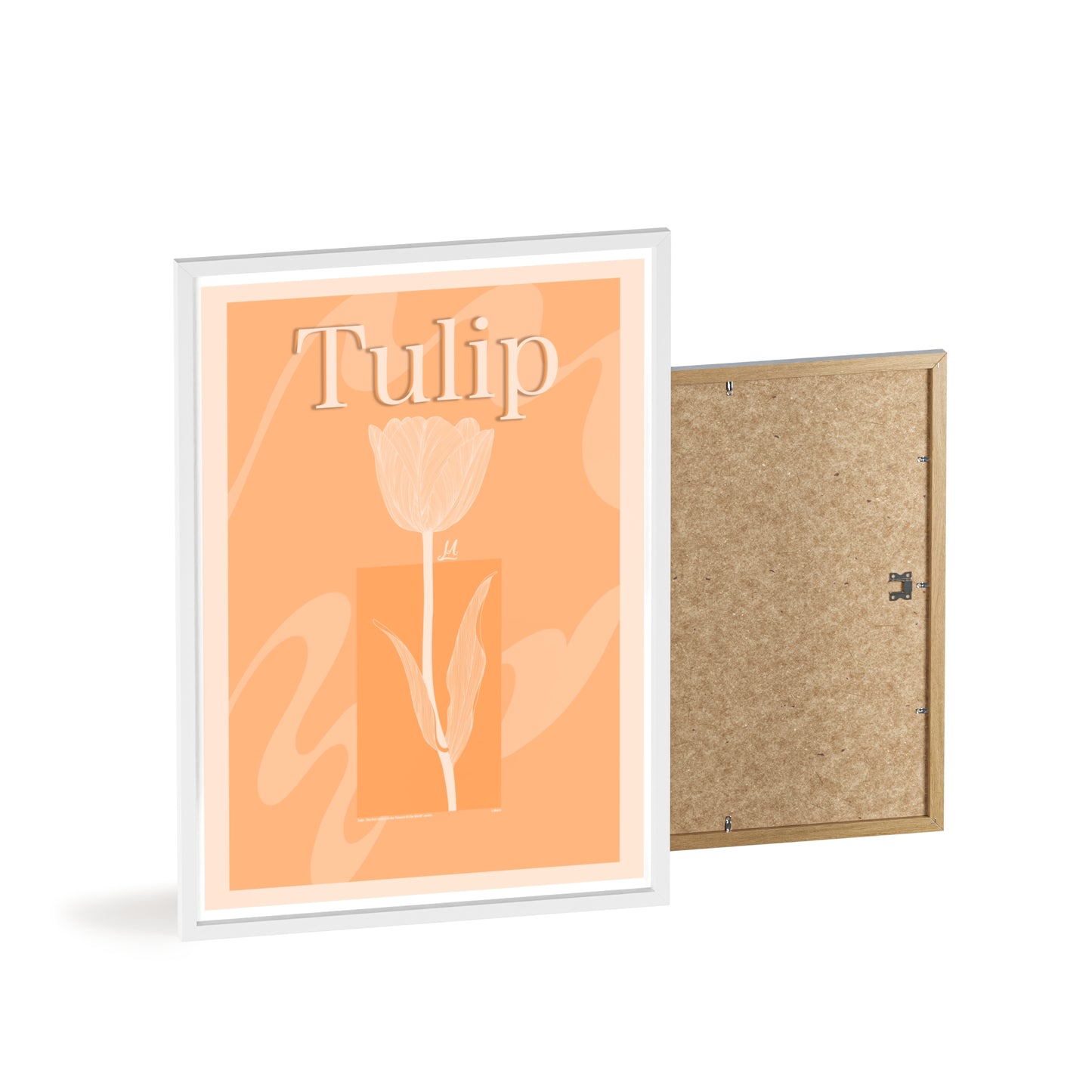 Tulip - The first edition to the - Flowers Of The World - serie. - Framed.