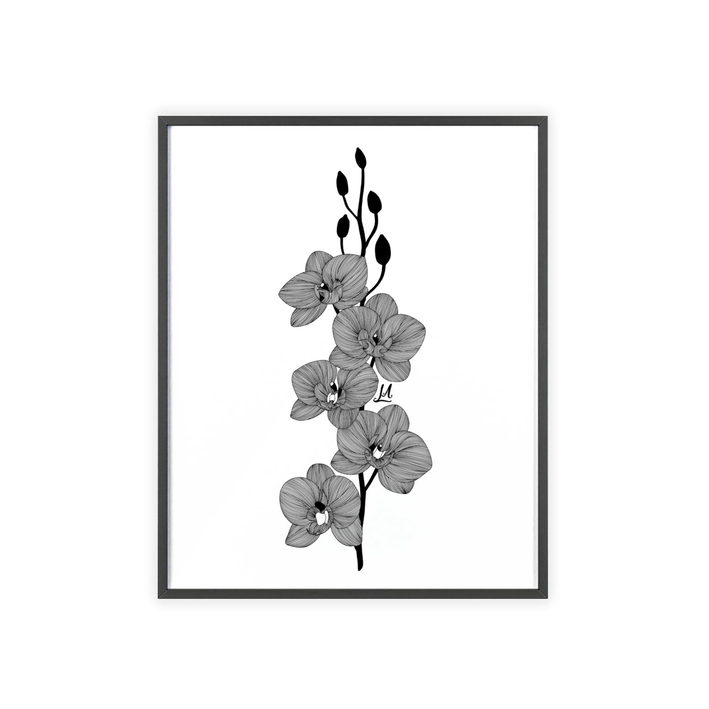 Elegant orchid line artwork - Framed.