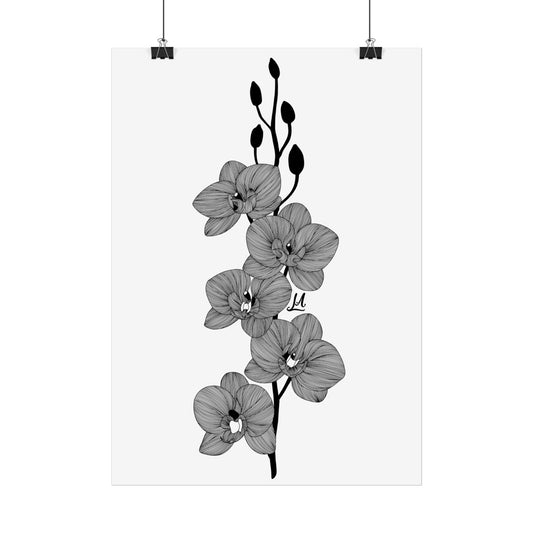 Elegant Orchid line artwork.