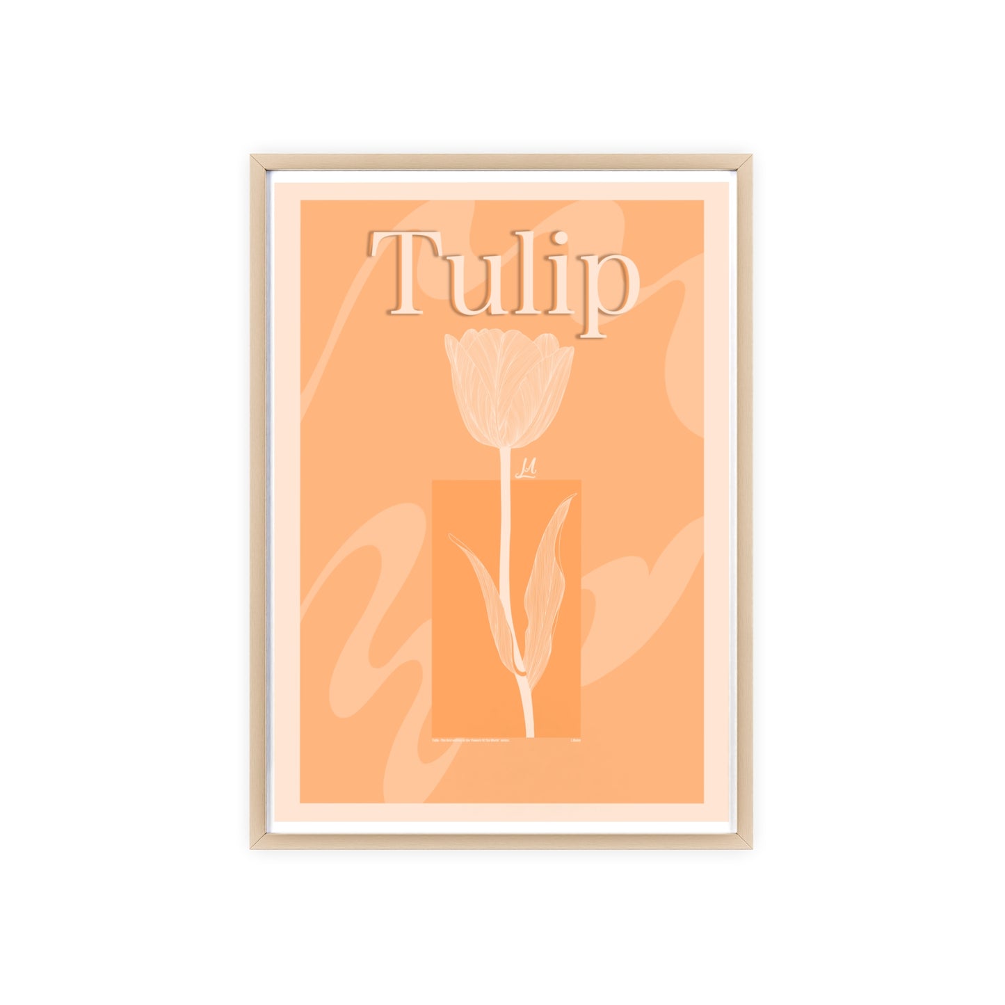 Tulip - The first edition to the - Flowers Of The World - serie. - Framed.