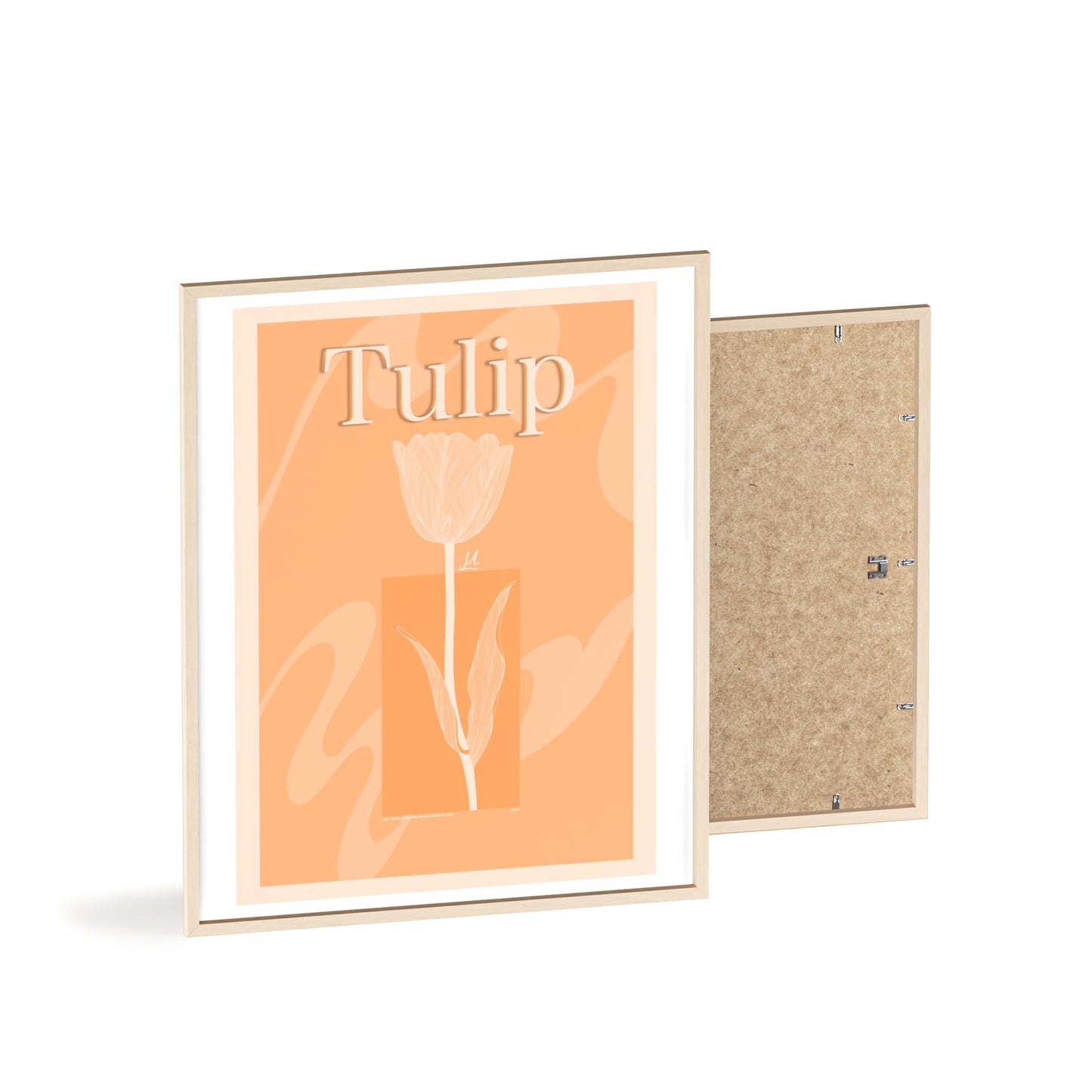 Tulip - The first edition to the - Flowers Of The World - serie. - Framed.