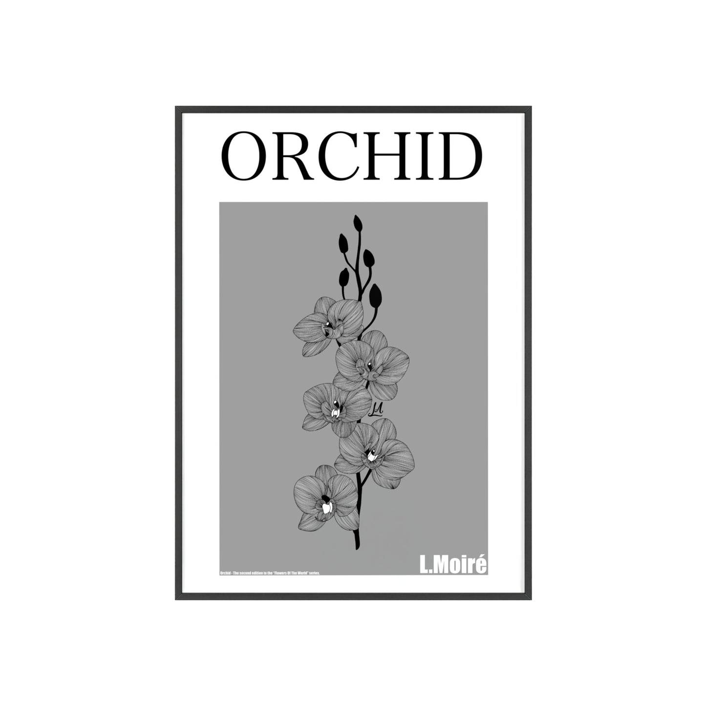 Orchid - The second edition to the - Flowers Of The World - series. - Framed.