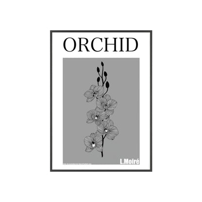 Orchid - The second edition to the - Flowers Of The World - series. - Framed.