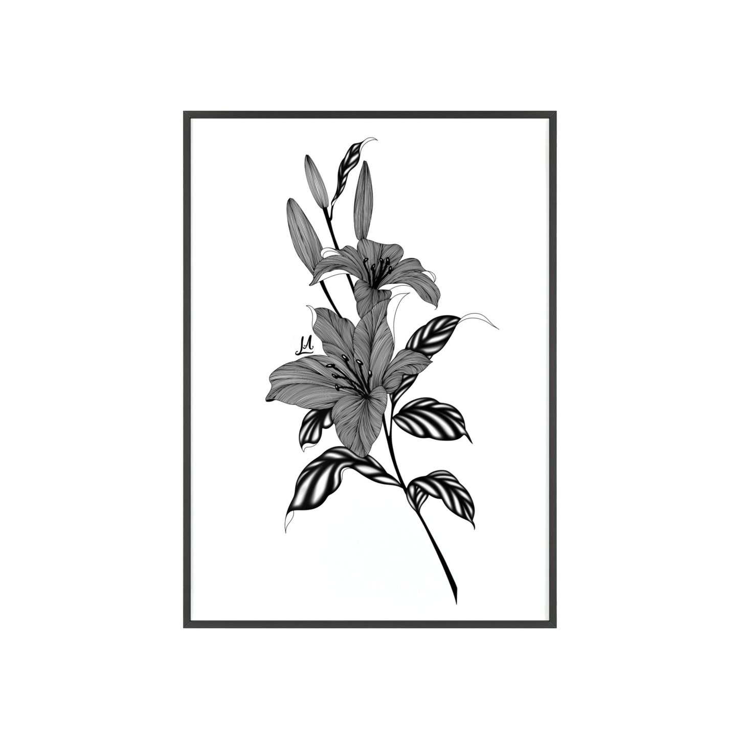 Elegant Floral Wall Art, Black and White Lily artwork - Framed.