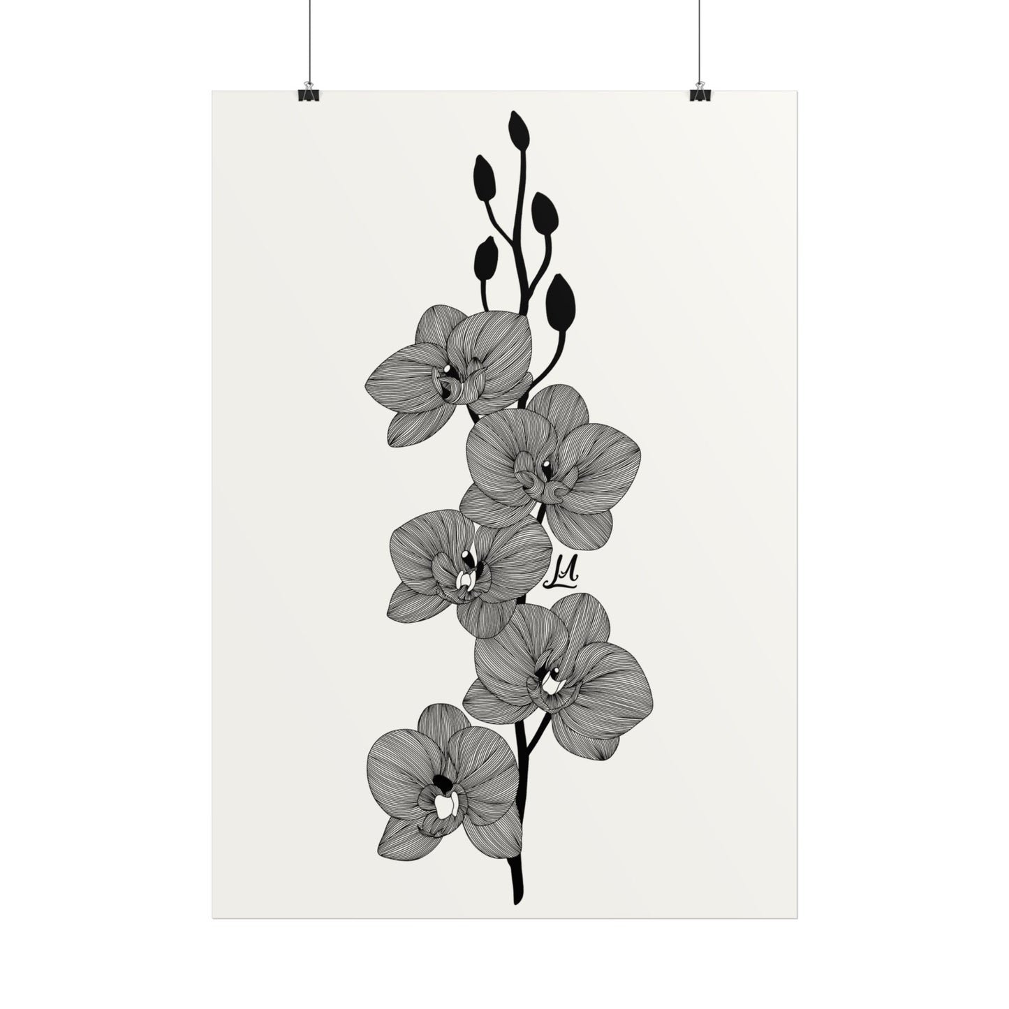 Elegant Orchid line artwork.