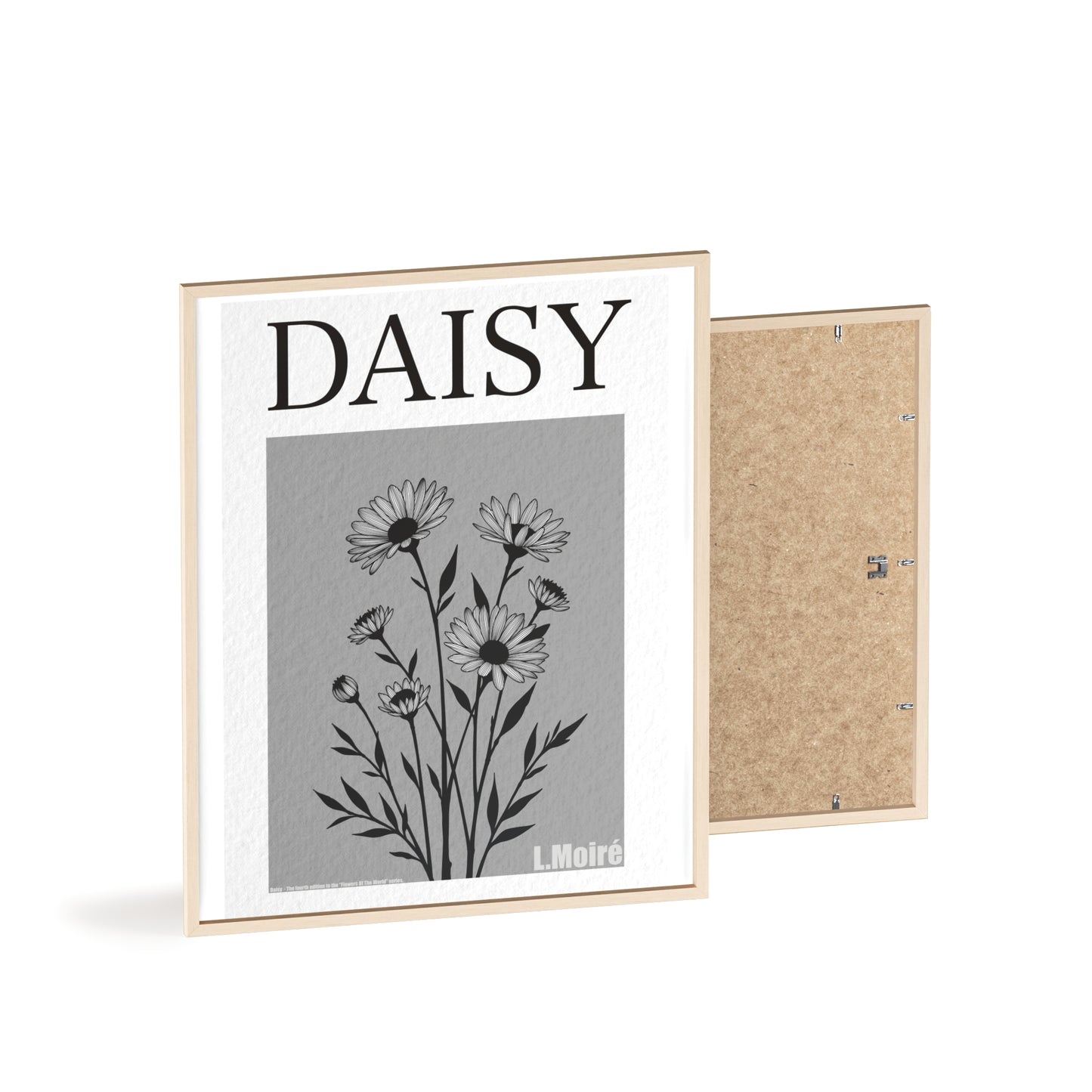 Daisy - The fourth edition - Flowers Of The World.
