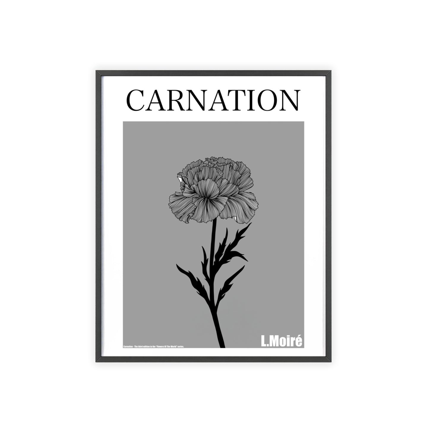 Carnation - The third edition to the - Flower Of The World - series.
