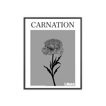 Carnation - The third edition to the - Flower Of The World - series.