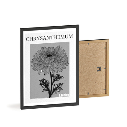 Chrysanthemum - The fifth edition - Flowers Of The World.