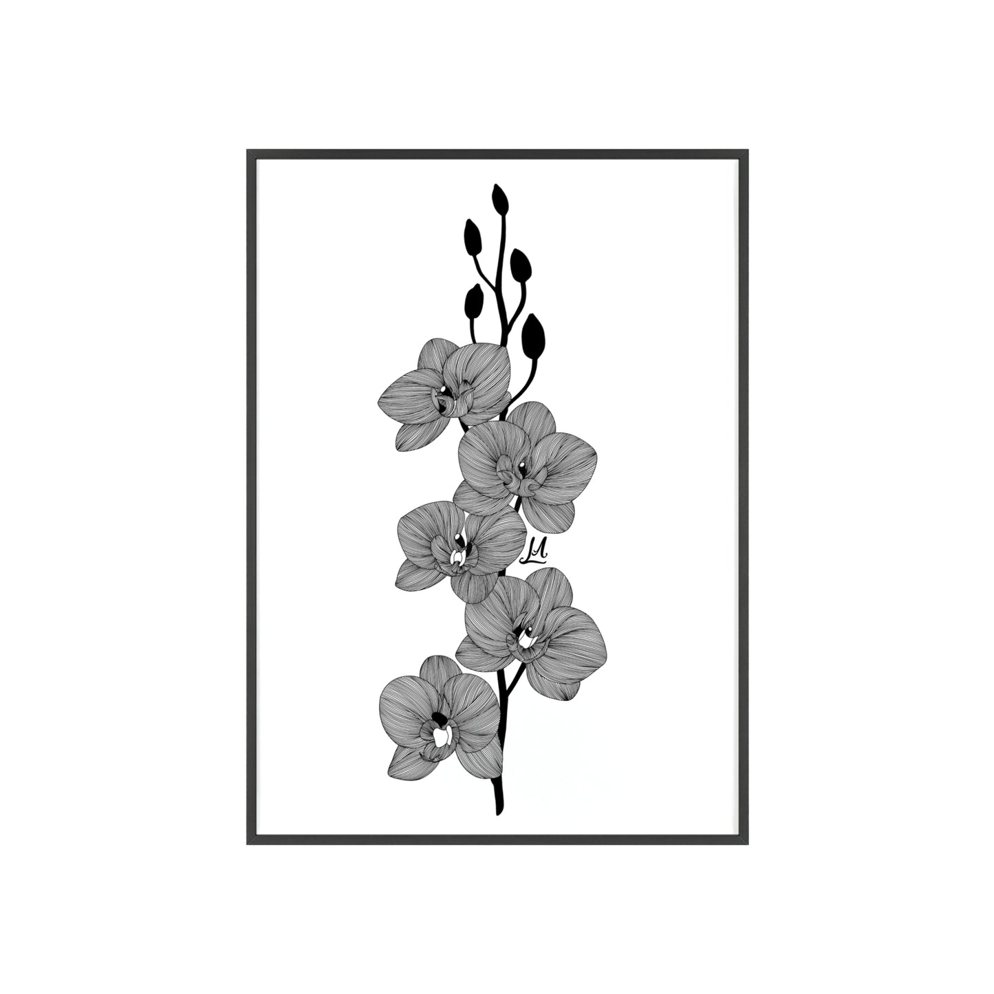 Elegant orchid line artwork - Framed.