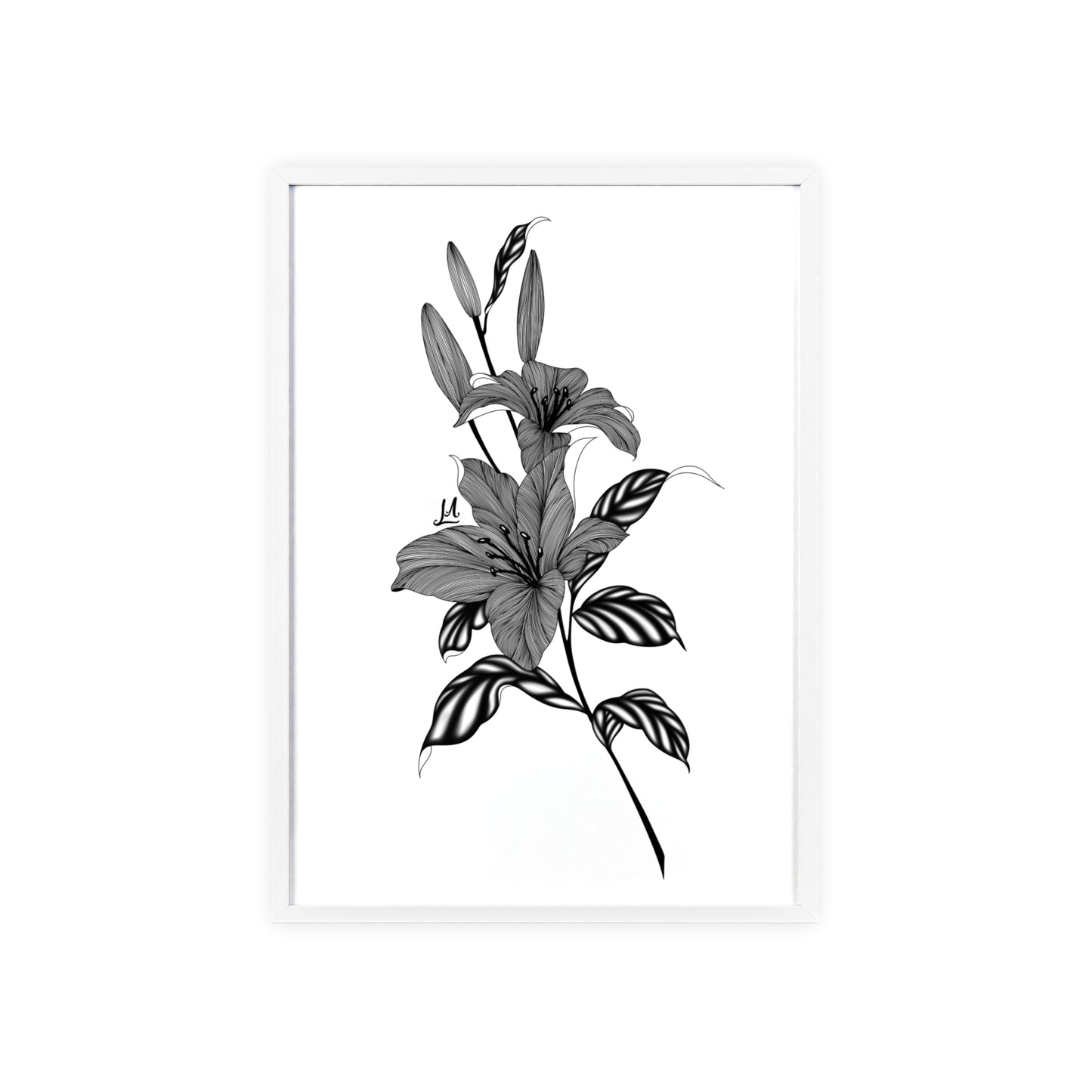 Elegant Floral Wall Art, Black and White Lily artwork - Framed.