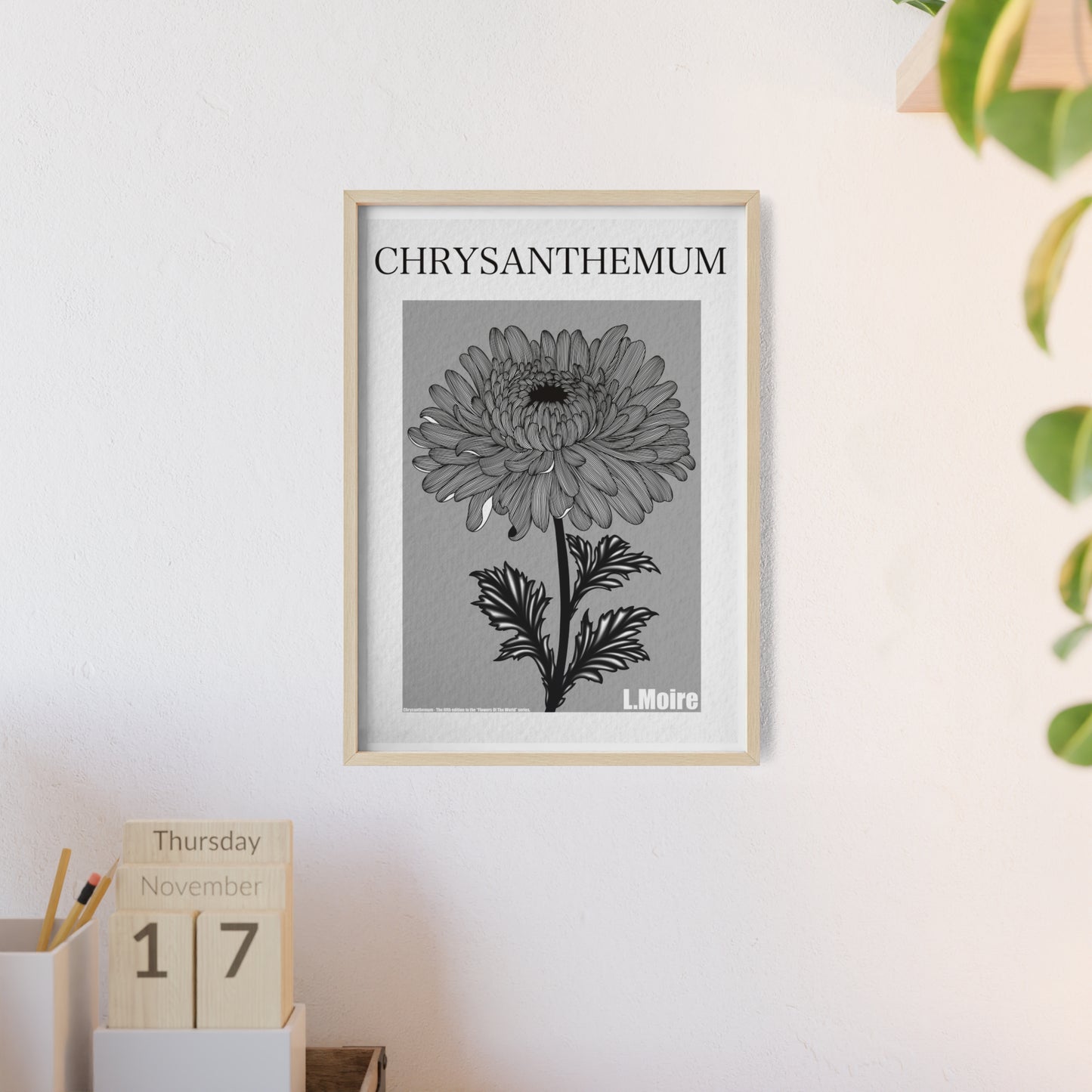 Chrysanthemum - The fifth edition - Flowers Of The World.