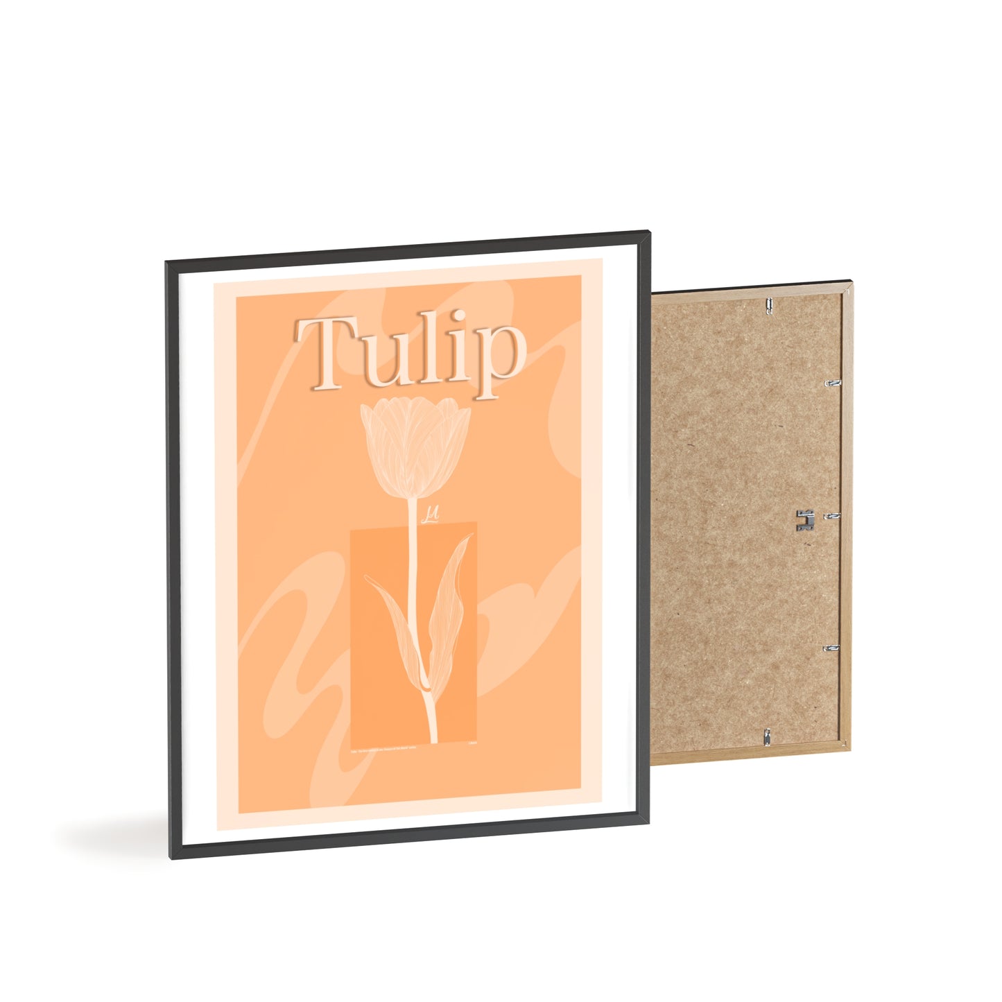 Tulip - The first edition to the - Flowers Of The World - serie. - Framed.