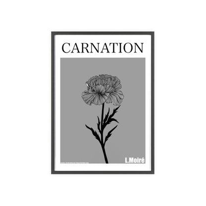 Carnation - The third edition to the - Flower Of The World - series.