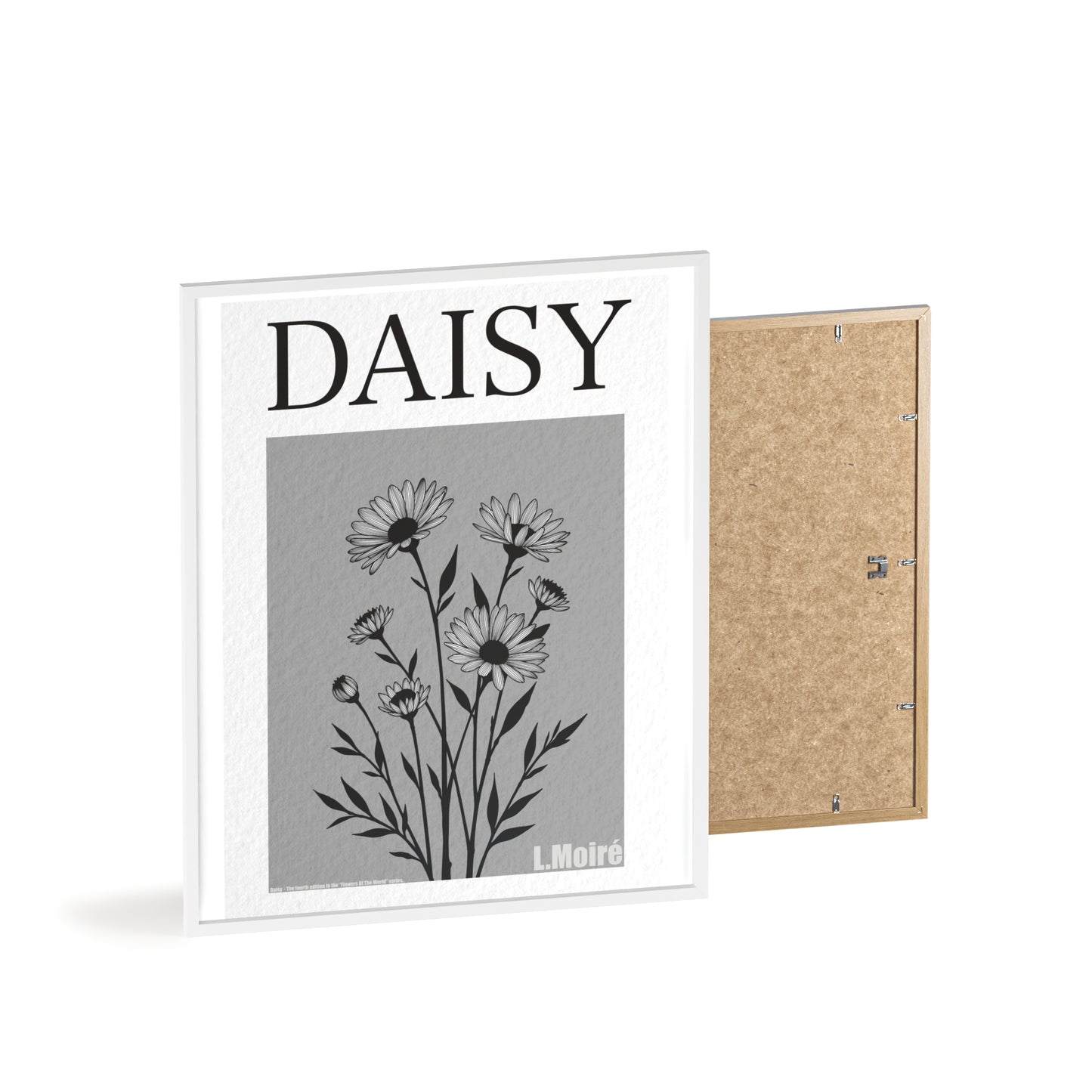 Daisy - The fourth edition - Flowers Of The World.
