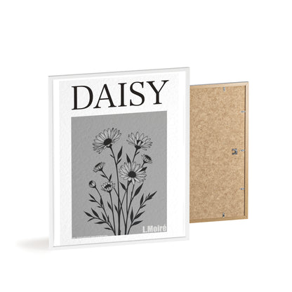 Daisy - The fourth edition - Flowers Of The World.