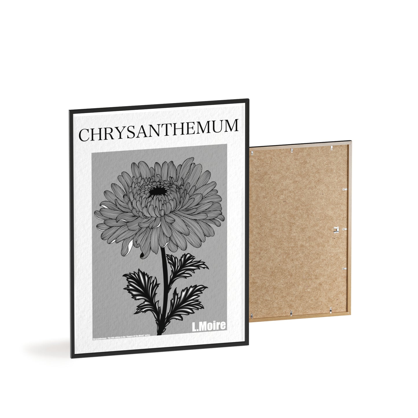 Chrysanthemum - The fifth edition - Flowers Of The World.