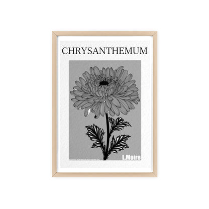 Chrysanthemum - The fifth edition - Flowers Of The World.