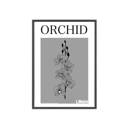 Orchid - The second edition to the - Flowers Of The World - series. - Framed.