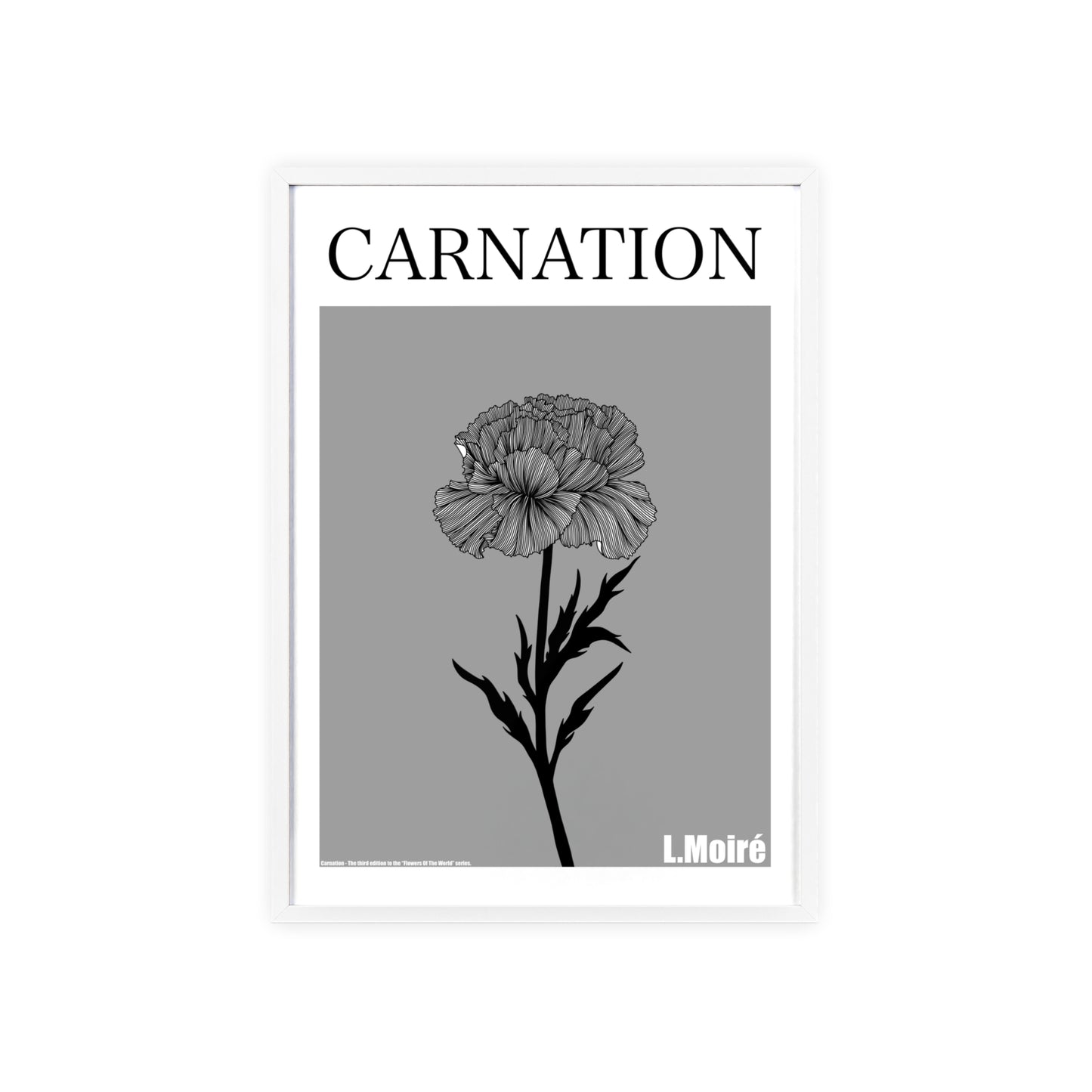 Carnation - The third edition to the - Flower Of The World - series.